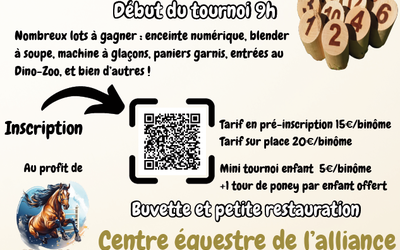 06-tournoi molkky